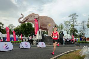 BIB: 
                            <button type="button" onclick="openModal(26528377)" class="btn btn-primary btn-sm float-right btn-popup" data-toggle="modal" data-target=".modal-high-quality">
                        <i class="fas fa-shopping-cart"></i> Add to Cart
                    </button>
                                            <button type="button" onclick="isThisMe(26528377, true)" class="btn btn-success btn-sm float-right btn-popup btn-isme hidden" data-toggle="tooltip" data-placement="bottom" title="นี่คือรูปของคุณใช่ไหม คลิกที่นี่เพื่อเอาเข้าอัลบั้ม">
                        <i class="fas fa-plus"></i> Add to album
                    </button>
                    <button type="button" onclick="isThisMe(26528377, false)" class="btn btn-warning btn-sm float-right btn-popup btn-isnotme hidden">
                        <i class="fas fa-ban"></i> Remove from album
                    </button>